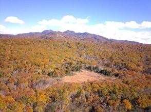 プランの魅力 玉原高原&玉原湿原全景(10月) の画像