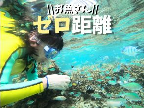 プランの魅力 天然の水族館 の画像