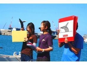 プランの魅力 ★The whale guide who explains the ecology and behavior of whales is very popular の画像