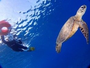 プランの魅力 ダイビング＆スノーケルで一日を遊び尽くす！ の画像