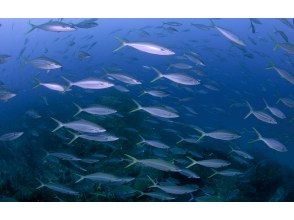 プランの魅力 Kuroshio Island. の画像