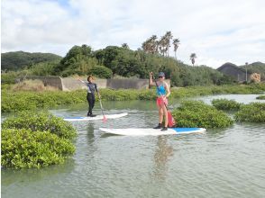 プランの魅力 Mangrove ⑤ の画像