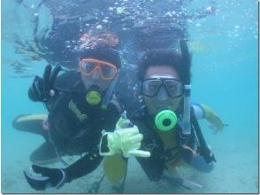 プランの魅力 Extraordinary feeling of scuba diving の画像