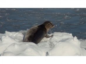 プランの魅力 の画像