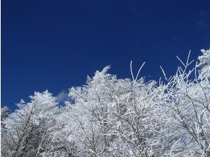 プランの魅力 霧氷・樹氷も楽しみ の画像