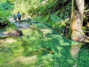 プランの魅力 Transparent and clear blue waters! の画像