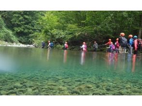 プランの魅力 みんなで進めばアドベンチャー気分! の画像