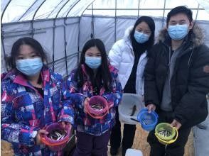 プランの魅力 我将有礼貌地演讲！ の画像