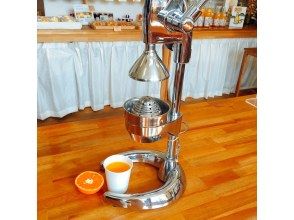 プランの魅力 Hand juicer の画像