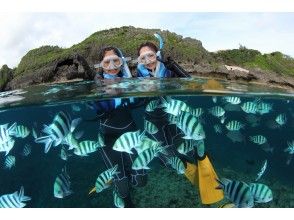 プランの魅力 お魚沢山！ の画像