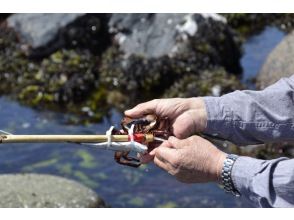 プランの魅力 Traditional fishing method "Crab fishing strategy!" の画像