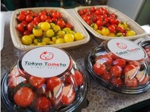 プランの魅力 Touch the tomato making that is full of commitment! の画像