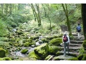 プランの魅力 青梅観光も一緒に満喫！ の画像