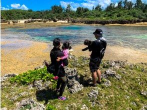 プランの魅力 天然の水族館 の画像