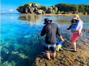 プランの魅力 透明度抜群の海 の画像