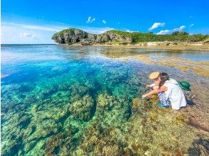 プランの魅力 透明度抜群の海 の画像