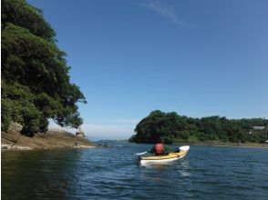 プランの魅力 Seaweed forest の画像