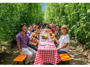 プランの魅力 ホップ畑の見学&ビールで乾杯ができる! の画像