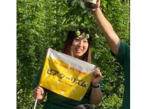 プランの魅力 ビアツーリズムガイドがホップがビールになるまでの過程をご紹介します! の画像