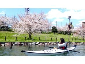 プランの魅力 旧中川沿いに約280本の桜並木 の画像