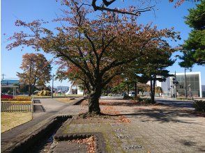 プランの魅力 跟随导游漫步艺术小镇 の画像