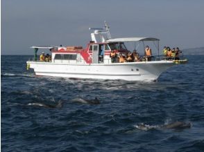 プランの魅力 Depart by sightseeing boat! の画像