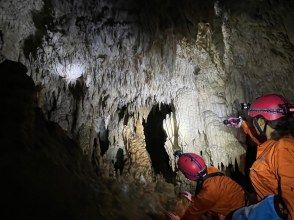 プランの魅力 水晶の連なる滝 クリスタルフォール の画像