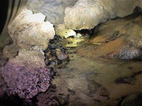 プランの魅力 地底の川 の画像