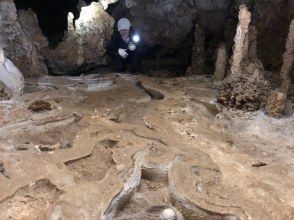 プランの魅力 水の後 の画像