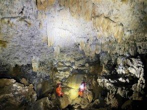 プランの魅力 ゴールデンケイブ+ジャングル迷路+滝壺、1億年の海底洞窟 の画像