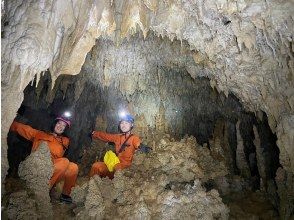 プランの魅力 ゴールデンケイブ+ジャングル迷路+滝壺、1億年の海底洞窟 の画像