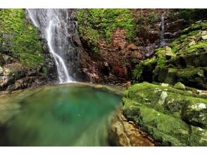 プランの魅力 植魚の滝・ハリオの滝 の画像