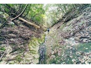 プランの魅力 嶽の森山 の画像