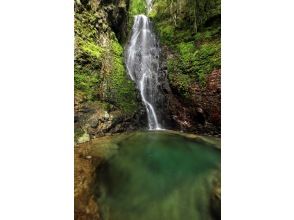 プランの魅力 まぼろしの滝 の画像