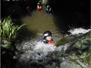 プランの魅力 シャワークライミング の画像