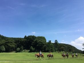 プランの魅力 大廳裡的草地 の画像