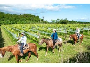 プランの魅力 Vineyard の画像