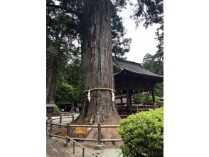 プランの魅力 北口本宮富士浅間神社見学 の画像