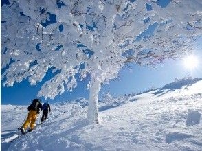 プランの魅力 体力自慢のガイドが山登りもしっかりサポート!ガイドが付くことでいつもより楽に山も登れるんです! の画像