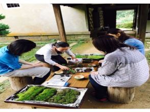 プランの魅力 体验制作青苔球和竹制器皿 の画像