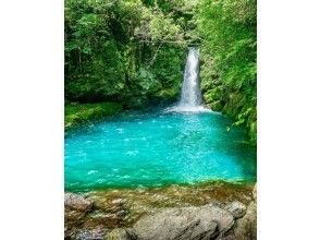 プランの魅力 神秘の滝壺「にこ淵」 の画像