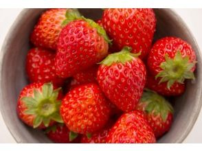 プランの魅力 4 kinds of sweet and delicious strawberries の画像