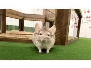 プランの魅力 の画像