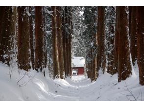 プランの魅力 400-year-old Okusha cedar trees の画像