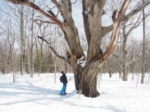 プランの魅力 Giant tree forest の画像