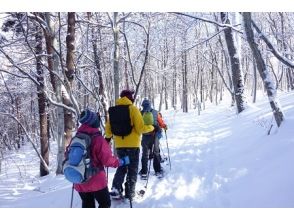 プランの魅力 Quiet and beautiful walking in a pure white forest の画像