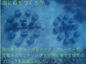 プランの魅力 海洋生物育成ブロック の画像