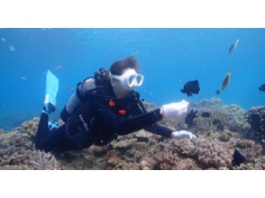 プランの魅力 Feeding tropical fish の画像