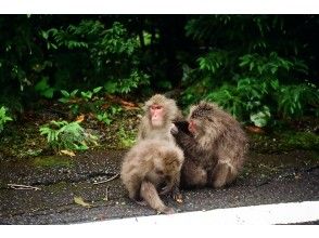 プランの魅力  の画像