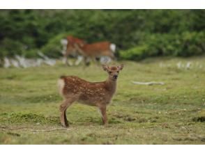 プランの魅力  の画像